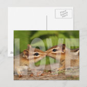 Baby Chipmunks Love Design Briefkaart (Voorkant / Achterkant)