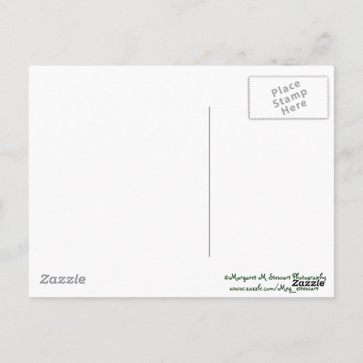 Baby Chipmunks Love Design Briefkaart (Achterkant)