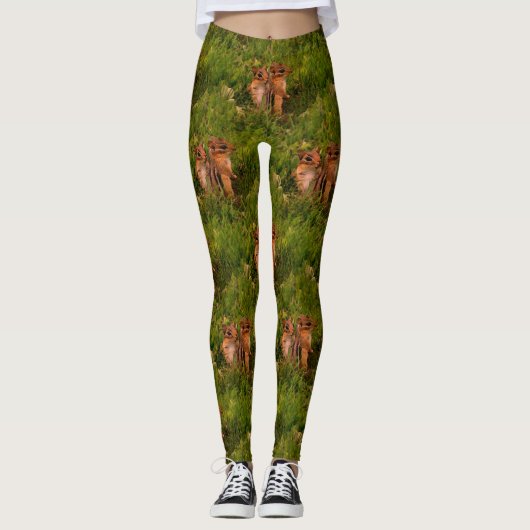 Baby Chipmunks Natuur Art Patroon Leggings (Voorkant)
