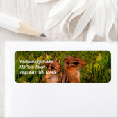 Baby Chipmunks Wildlife Animal Art Address Etiket (Insitu)