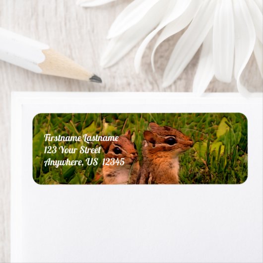 Baby Chipmunks Wildlife Animal Art Address Etiket (Insitu)