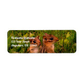 Baby Chipmunks Wildlife Animal Art Address Etiket (Voorkant)