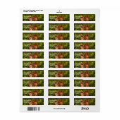 Baby Chipmunks Wildlife Animal Art Address Etiket (Full Sheet)