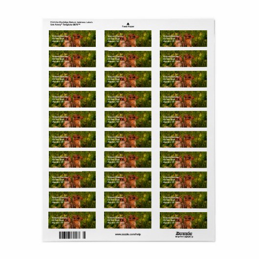 Baby Chipmunks Wildlife Animal Art Address Etiket (Full Sheet)