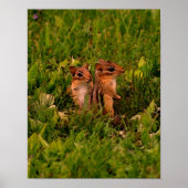 Baby Chipmunks Wildlife Animal Art Poster (Voorkant)