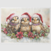 Baby Christmas Chicks Tissuepapier (Voorkant)
