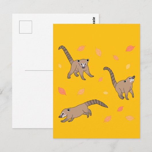Baby Coatis Briefkaart (Voorkant / Achterkant)