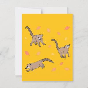 Baby Coatis Briefkaart