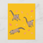 Baby Coatis Briefkaart (Voorkant)