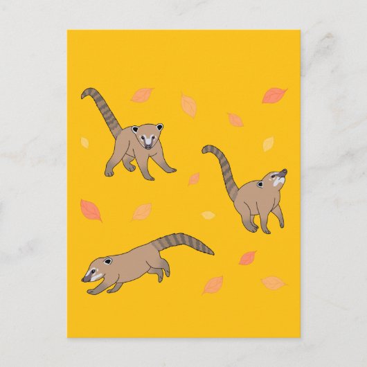 Baby Coatis Briefkaart (Voorkant)