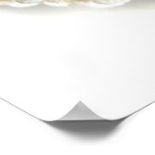 Baby Cones Poster (Hoek)