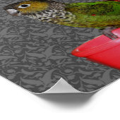 Baby Conure Parrots Animal Poster (Hoek)