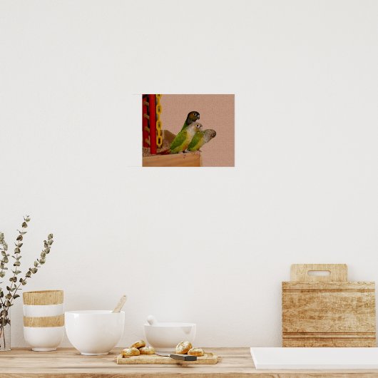 Baby Conure Parrots Bird Poster (Keuken)