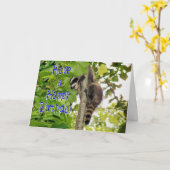 Baby Coon Bday wenst Kaart (Gele Bloem)