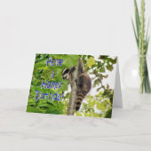 Baby Coon Bday wenst Kaart (Voorkant)
