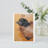 Baby Corso II Briefkaart (Staand voorkant)