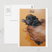 Baby Corso II Briefkaart (Voorkant / Achterkant)