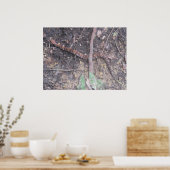 Baby Cottonmouth Moccasin Poster (Keuken)