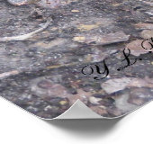 Baby Cottonmouth Moccasin Poster (Hoek)