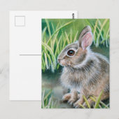 Baby Cottontail Bunny Rabbit Waterverf Art Briefkaart (Voorkant / Achterkant)