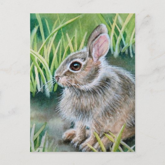 Baby Cottontail Bunny Rabbit Waterverf Art Briefkaart (Voorkant)