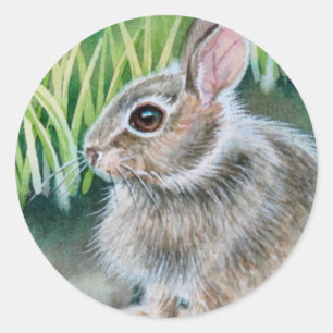 Baby Cottontail Bunny Rabbit Waterverf Art Ronde Sticker