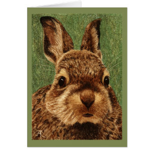 Baby Cottontail Rabbit Kaart