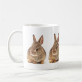 Baby Cottontail Rabbit Koffiemok (Links)