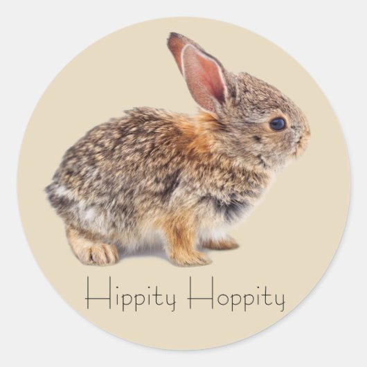 Baby Cottontail Rabbit Ronde Sticker (Voorkant)