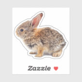Baby Cottontail Rabbit Sticker (Vel)