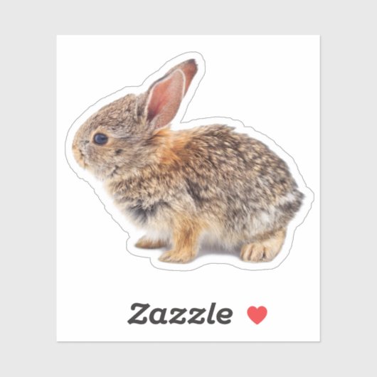 Baby Cottontail Rabbit Sticker (Vel)