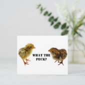 Baby Coturnix en tweekleppige kippen Briefkaart (Staand voorkant)