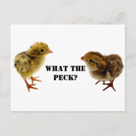 Baby Coturnix en tweekleppige kippen Briefkaart