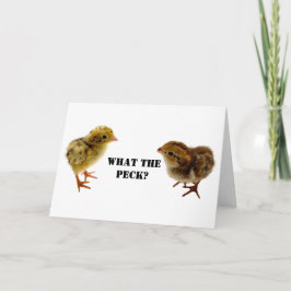 Baby Coturnix en tweekleppige kippen Kaart