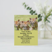 Baby Coyotes Foto Kaart (Staand voorkant)