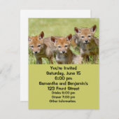 Baby Coyotes Foto Kaart (Voorkant / Achterkant)