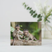 Baby Crab-Eating Macaques Playing on a Branch Briefkaart (Staand voorkant)