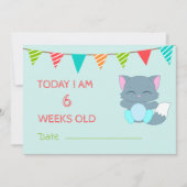 Baby Cute Milestone Month Colorful Kitten Kaart (Voorkant)