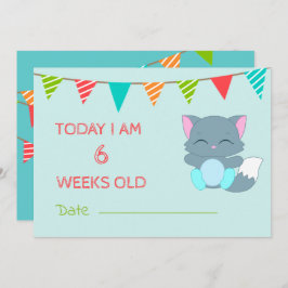Baby Cute Milestone Month Colorful Kitten Kaart