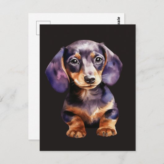 Baby Dachshund Briefkaart (Voorkant / Achterkant)