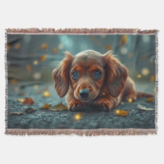 baby dachshund deken (Voorkant)