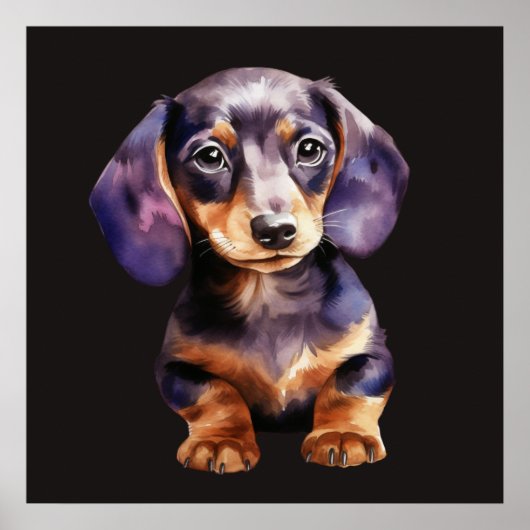 Baby Dachshund Poster (Voorkant)