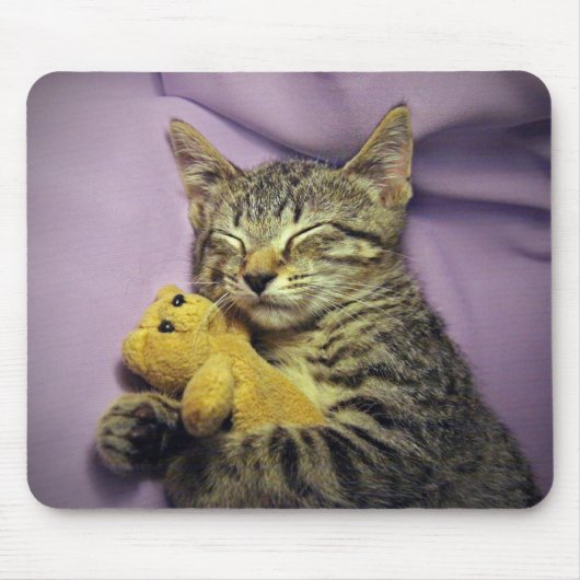 Baby Daisy Kitty Cat Kitten Sleeping w/Teddy Bear Muismat (Voorkant)
