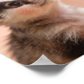 Baby Das Kunstwerk voor de Kinderkamer Poster (Hoek)