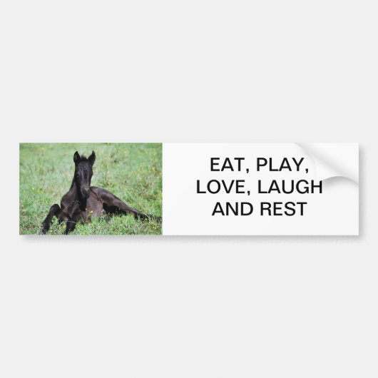 Baby dat in de weide ligt bumpersticker (Voorkant)