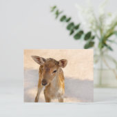 Baby Deer Briefkaart (Staand voorkant)