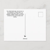 Baby Deer Briefkaart (Achterkant)