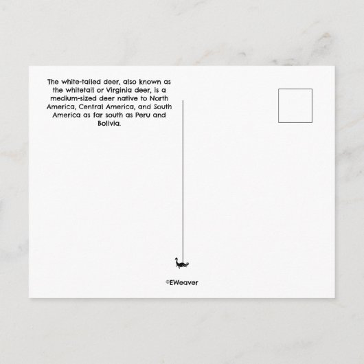 Baby Deer Briefkaart (Achterkant)