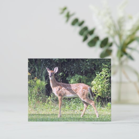 Baby Deer Briefkaart (Staand voorkant)