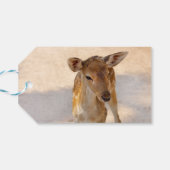 Baby Deer Cadeaulabel (Achterkant Horizontaal)
